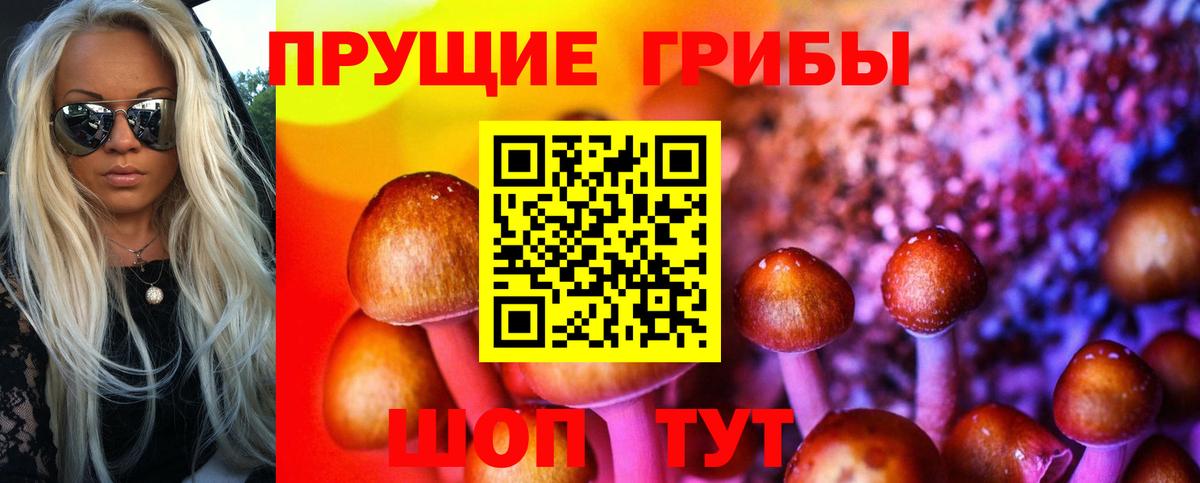Псилоцибиновые грибы Psilocybe Алушта