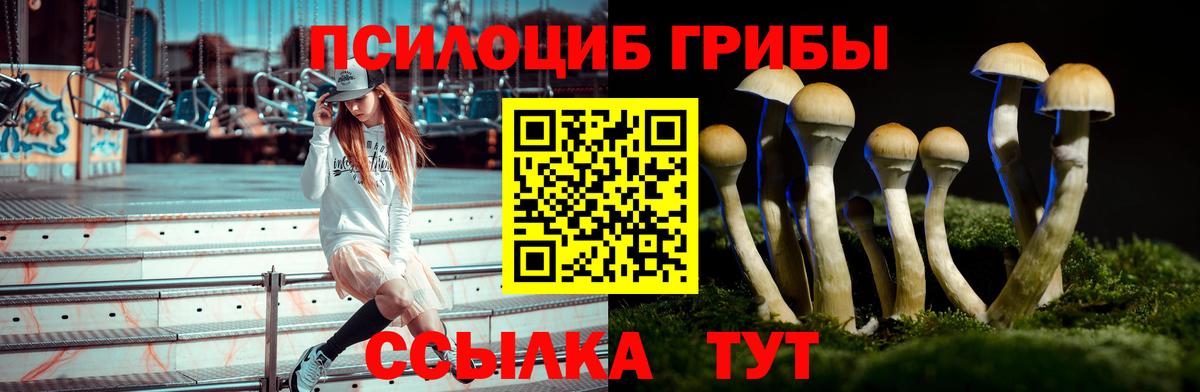 Псилоцибиновые грибы MAGIC MUSHROOMS  Псилоцибиновые грибы ЛСД  Алушта  Вход с VPN 